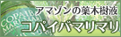 �R�p�C�o