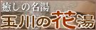 �ʐ�̉ԓ�