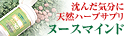 �k�[�X�}�C���h