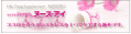�k�[�X�A�C