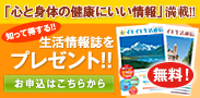 �C�L�C�L�����ʔ̎��v���[���g