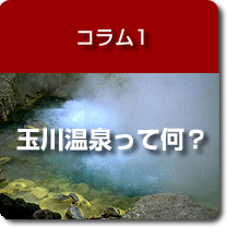 �R����1�@�ʐ쉷����ĉ��H