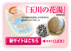 �ʐ�̉ԓ��@�V�T�C�g�͂�����
