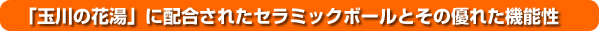 �u�ʐ�̉ԓ��v�ɔz�����ꂽ�Z���~�b�N�{�[���Ƃ��̗D�ꂽ�@�\��