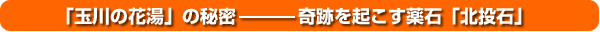 �u�ʐ�̉ԓ��v�̔閧�[��Ղ��N������΁u�k���΁v