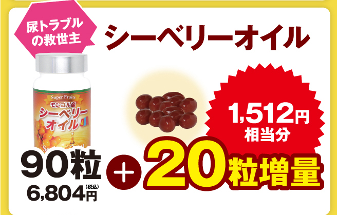 五葉の松・スパンブラック　2個セット　＋40粒増量