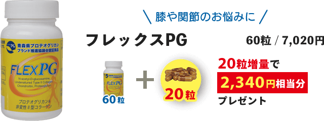 フレックスPG