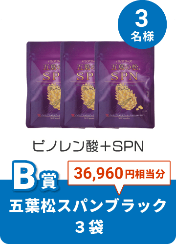 五葉松スパンブラック