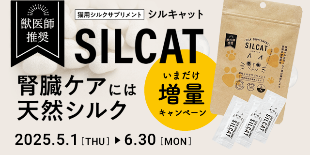 ヌース10off