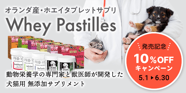 ヌース10off