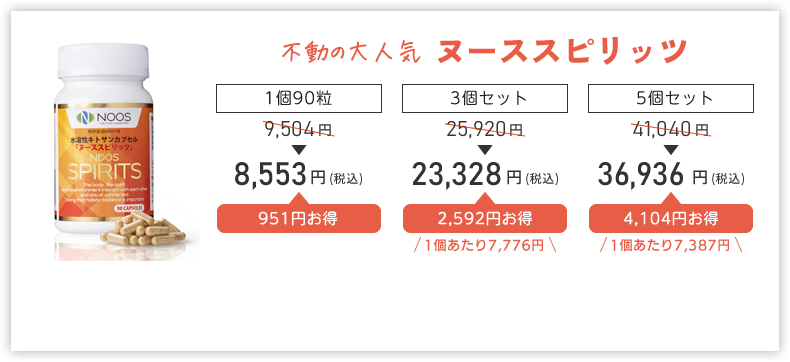 ヌーススピリッツ