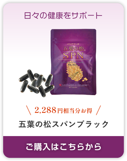 五葉の松スパンブラック