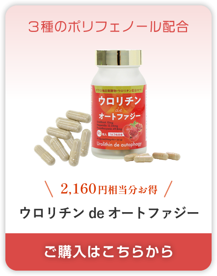 ウロリチン de オートファジー