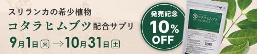 コタラヒムブツ10%オフ