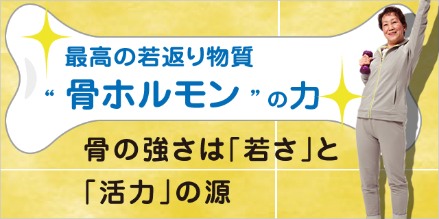 バナーの内容を記入してください