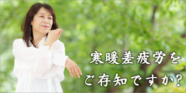 コラム