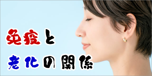バナー