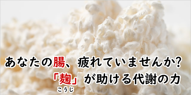 バナー