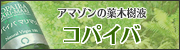 A}]̖؎t@RpCo