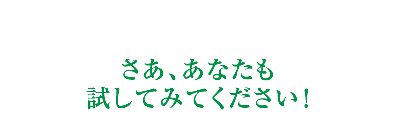 さあ、あなたも試してみてください！