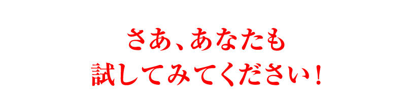 さあ、あなたも試してみてください！