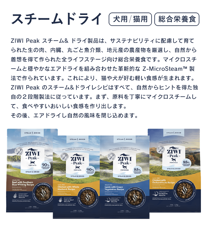 スチームドライ