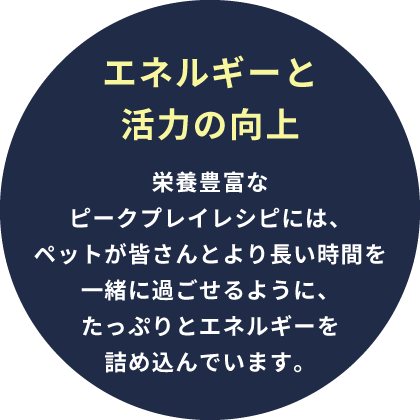 エネルギーと活力の向上
