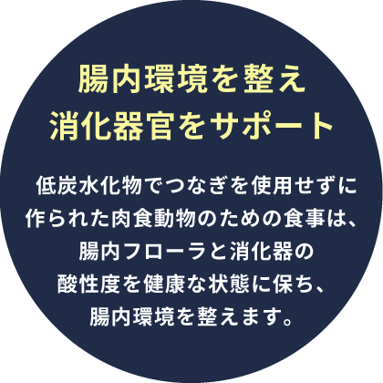 腸内環境を整え消化器官をサポート