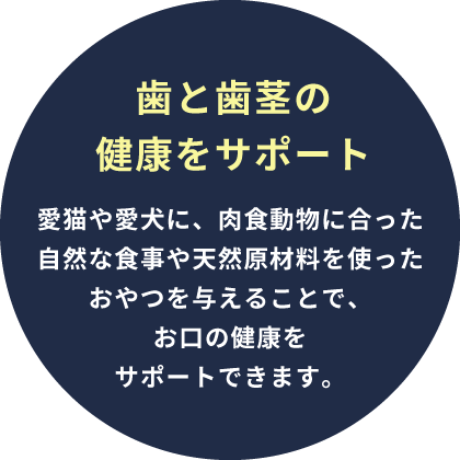 歯と歯茎の健康をサポート